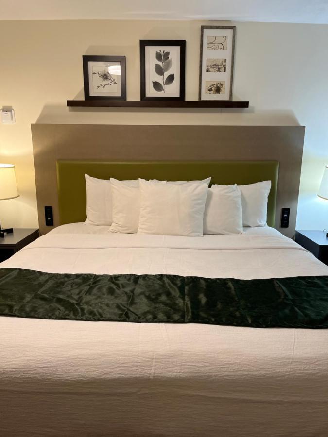Pictured Rocks Inn And Suites Munising Ngoại thất bức ảnh